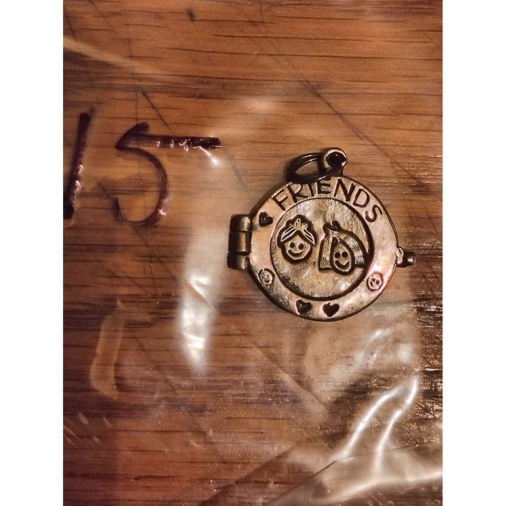 925 Sterling Silver Friends You Are Special Hinged Round Locket Charm JJT.G